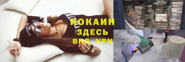 крисы Алзамай