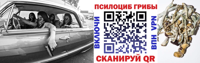 Галлюциногенные грибы прущие грибы  Аргун 